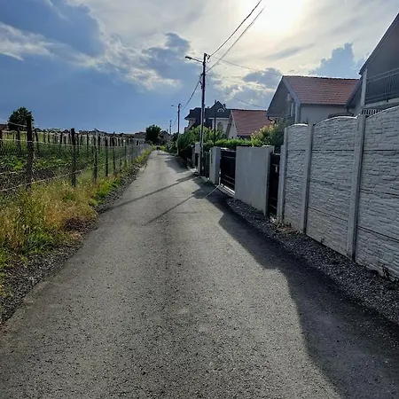 A1 - Airport * Belgrad