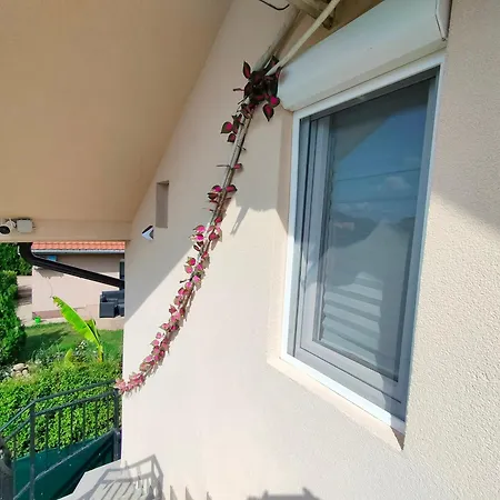 Daire A1 - Airport *