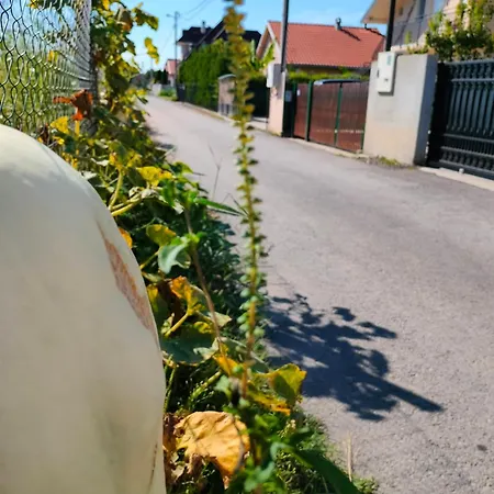 Daire A1 - Airport Belgrad